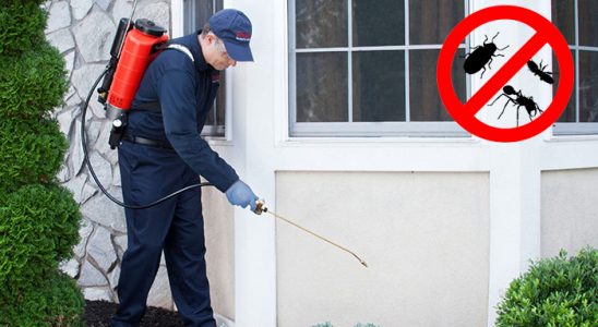 Kazımkarabekir Hamam Böceği İlaçlama böcek ilaçlama ve haşere kontrolü — ilaclama-tr.com